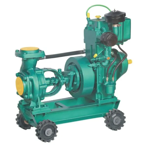 Diesel engine pump set
