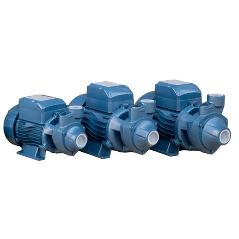 Electric peripheral pump